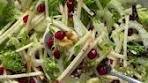 Delicious Apple, Celery, and Walnut Salad Recipe