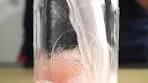 Delicious Fruit Kvass Recipe for Your Summer Picnic