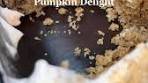 Delicious Pumpkin Delight Dessert Recipe