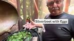 Delicious Silverbeet (or Chard) with Eggs | Recipe