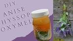 DIY Anise Hyssop Oxymel | How to Make an Oxymel | DIY ...