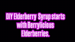 DIY elderberry syrup kits, available from Berrylicious, are an ...