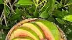 Exotic Smoothie Bowl Those lovely peeps @exoticfruits.co.uk ...