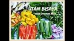 Filipino Vegetable Soup w/ Coconut Milk (UTAN BISAYA) by ...