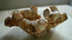 Galangal recipes