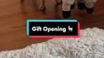 Gift Opening 🦙 Unboxing Fiesto-Llama Stuffed Toy