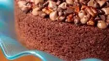 Grammy's Easy Chocolate Yogurt Cake