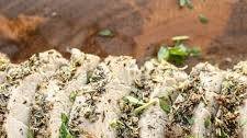 Herb Roasted Pork Tenderloin