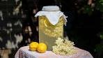 Homemade Elderflower Lemonade │ Foraging for Health - A ...