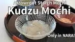 Homemade Kudzu Mochi: Only in Nara | Ancient Healing ...