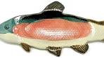 How to Create a Fish Platter