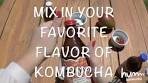 How-to: Kombucha Popsicles