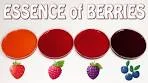 How to make Essence of Berries - Clear and Natural Intense ...