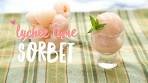 How to Make Lychee Lime Sorbet ♥ Easy Sorbet Recipe