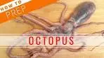 How to Prep Octopus【Sushi Chef Eye View】