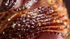 How to Slow Cook a Precooked Ham in the Oven