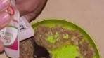 Ilai Doura toddler boy | Weetabix Fruit Parfait 🍌🫐 This has ...