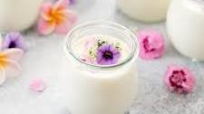 Japanese Milk Pudding