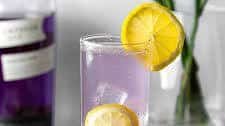 Lavender Collins