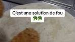 Le Crispy Vege c’est la solution pour mes vegetariens ! Il y a ...