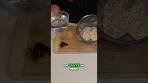 Make Creamy Oat Milk at Home Easy Recipe! #thefrugalchef ...