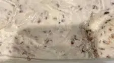 Maple Pecan Ice Cream 🍦 (NO CHURN!!!!)