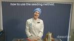 Mastering Chocolate Tempering: essential tips