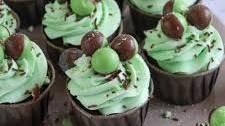 Mint Chocolate Cupcakes!