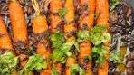 MOROCCAN SPICED ROASTED CARROTS! Last-minute ...