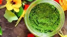 Nasturtium Pesto