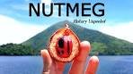 NUTMEG: The Horrible History Behind The Popular Spice