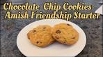 Our New Favorite Chocolate Chip Cookie Recipe-SO GOOD ...