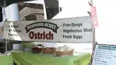 Paleo Ostrich Egg Brunch