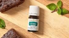 Peppermint Vitality Brownies