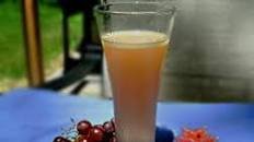 Pink Rhubarb Punch