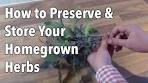 Preserving Herbs: How to Preserve & Store Your Homegrown ...