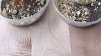 PROTEIN CINNAMON ROLL OVERNIGHT OATS it's ...