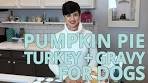 Pumpkin Pie and Thanksgiving Recipes for Your Dog