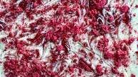 Raspberry White Chocolate Bark