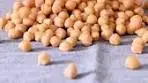 RECIPE: https://rainbowplantlife.com/chickpea-tacos/ These ...