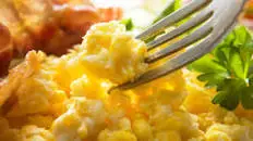Scrambled Eggs