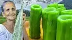 Snake Gourd Salad | Snake Gourd Recipe | Snake Gourd ...