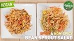Spicy & Non-Spicy Bean Sprout Salad / 콩나물 무침/ Korean ...