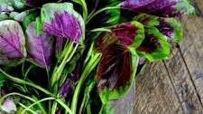 Stir-fried Pink Amaranth Greens