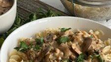 Tempeh Mushroom Stroganoff