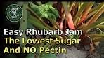 The Easiest RHUBARB Sauce And Jam! Very LOW Sugar & ...