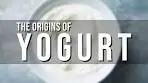 The Origin of Yogurt + Yogurt Berry Parfait Recipe
