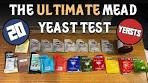 The Ultimate Mead Yeast Test (20 Different Yeasts with ...