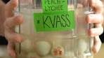 To make this version of “Kvass” with your favorite fruits, simply ...