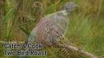 Two-Bird Roast: Hunting and Cooking Pheasant & Woodpigeon